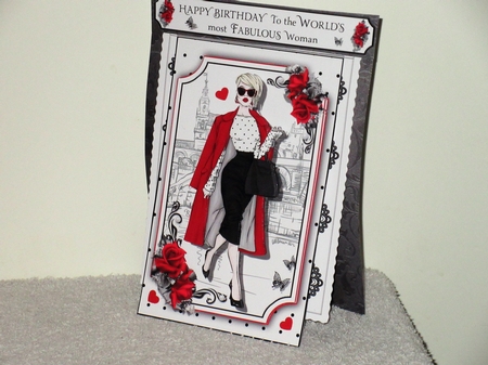 3 in 1 Fabulous Woman by Wayne Swan