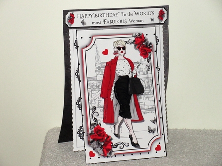 3 in 1 Fabulous Woman by Wayne Swan