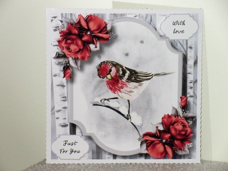 Watercolour Winter Bird Birthday 4 by Wayne Swan
