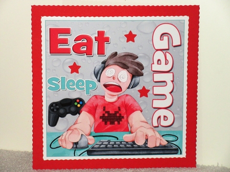 Eat Sleep Game! by Wayne Swan