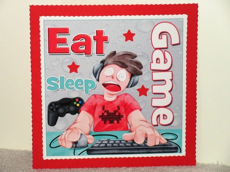 Eat Sleep Game! by Wayne Swan