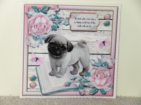 Puppy Love One  by Wayne Swan