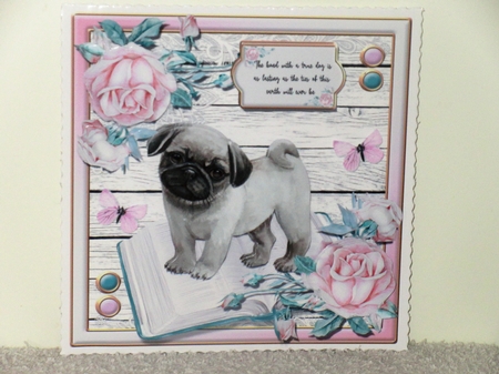 Puppy Love One  by Wayne Swan