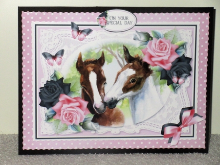 Lace and Roses Bumper Kit 9 by Wayne Swan
