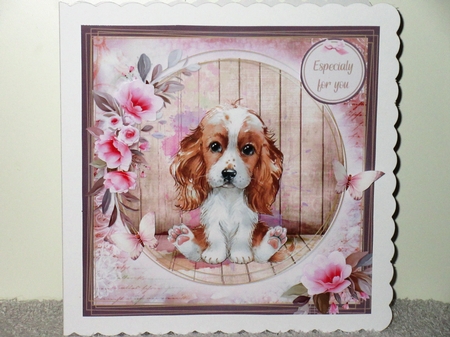 Cocker Spaniel mini kit by Wayne Swan