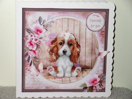 Cocker Spaniel mini kit by Wayne Swan