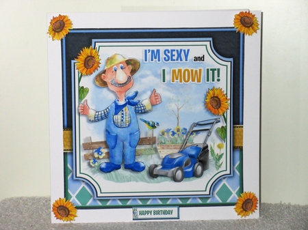 I`m Sexy and I Mow It! by Wayne Swan