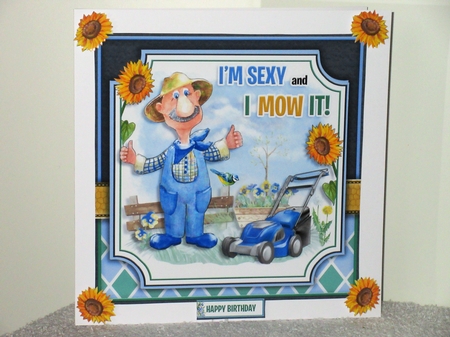 I`m Sexy and I Mow It! by Wayne Swan