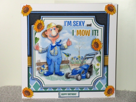 I`m Sexy and I Mow It! by Wayne Swan