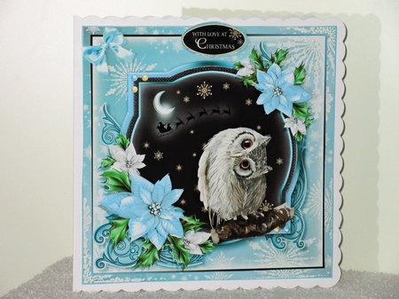 The Christmas Owl by Wayne Swan