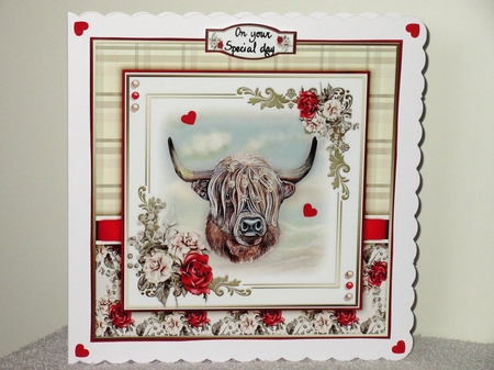 The Highland Cow by Wayne Swan