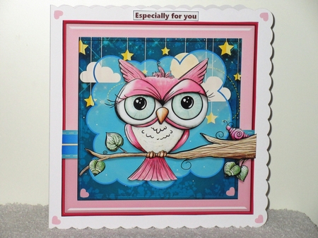 Night Owl by Wayne Swan