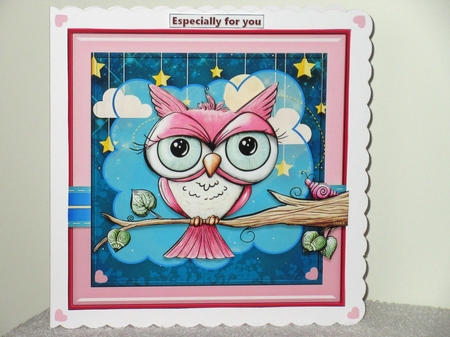 Night Owl by Wayne Swan
