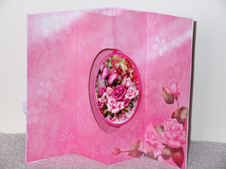 Shades of Pink - W-Fold Card Mini Kit by Wayne Swan