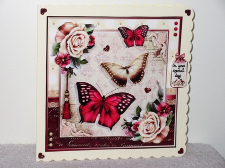 The Joy of Butterflies by Wayne Swan