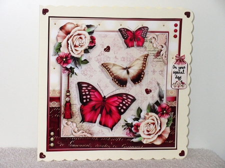 The Joy of Butterflies by Wayne Swan