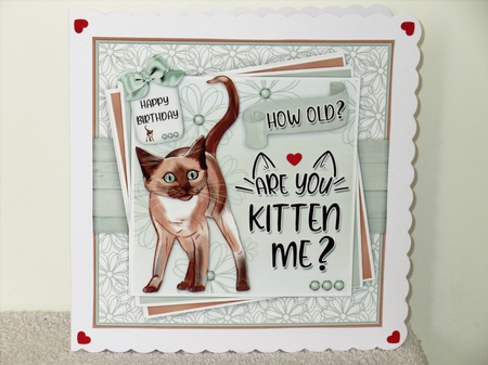 Are You Kitten Me Mini Kit by Wayne Swan
