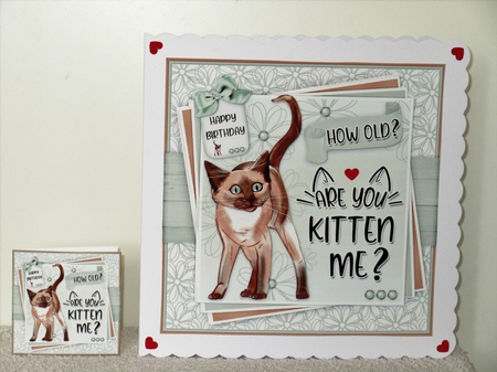 Are You Kitten Me Mini Kit by Wayne Swan