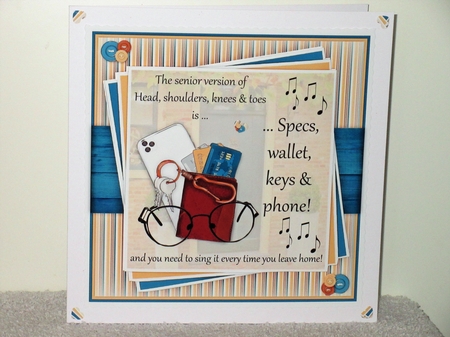 Specs, Wallet, Keys, & Phone Mini Kit by Wayne Swan