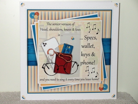 Specs, Wallet, Keys, & Phone Mini Kit by Wayne Swan