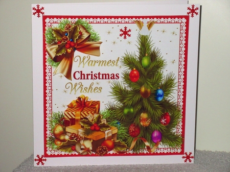 Warmest Christmas wishes 8x8 & A5 mini kit by Wayne Swan