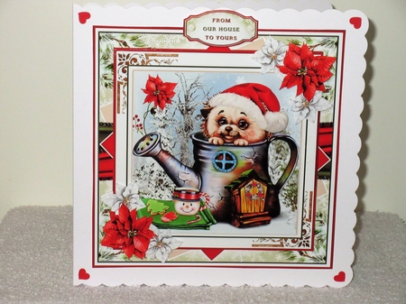 Cute Christmas Animals Collection by Wayne Swan