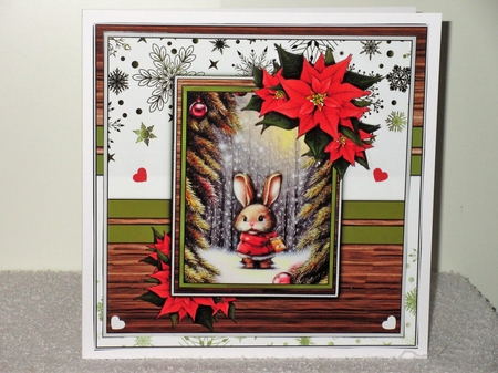 The Chistmas Bunny by Wayne Swan