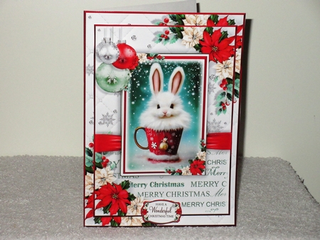 Hoppy Christmas! by Wayne Swan