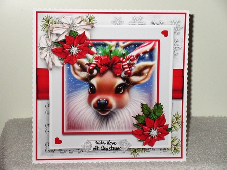 The Little Reindeer by Wayne Swan