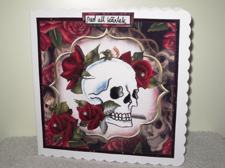 8x8 Skull with roses goth mini kit by Wayne Swan