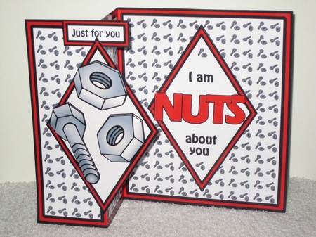 DFB Nuts about you by Wayne Swan