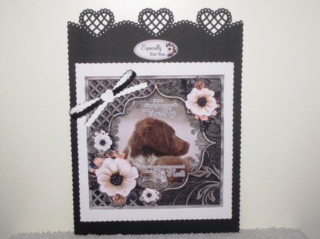 Big Hearts - Springer Spaniel by Wayne Swan