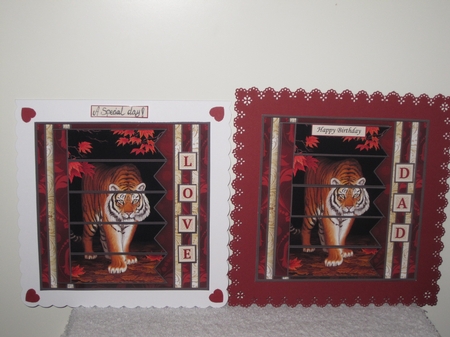 TIGER 7.5 Alphabet and Age Quick Card Kit Create Any Name by Wayne Swan