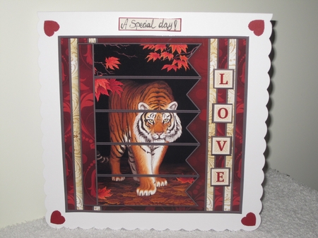 TIGER 7.5 Alphabet and Age Quick Card Kit Create Any Name by Wayne Swan