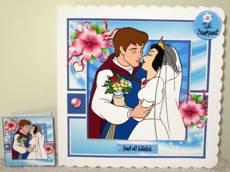 Bride and Groom 4 by Wayne Swan