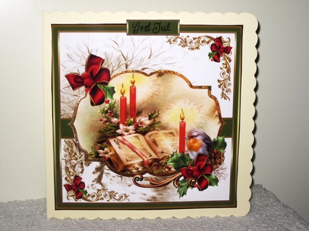 Robin and Christmas candles by Wayne Swan