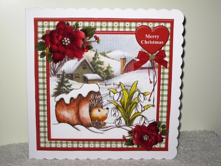 Hibernating Hedgehog Christmas Mini Kit & Decoupage by Wayne Swan