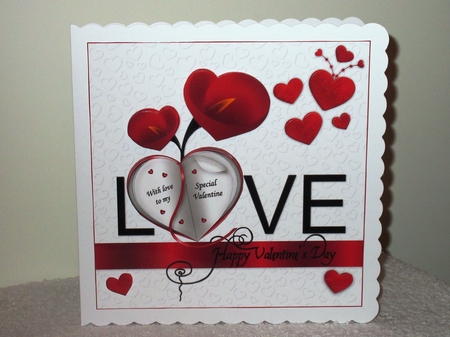 8x8 my special valentine mini kit by Wayne Swan