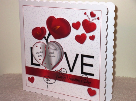 8x8 my special valentine mini kit by Wayne Swan