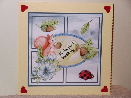 Squirrel and nuts by Wayne Swan