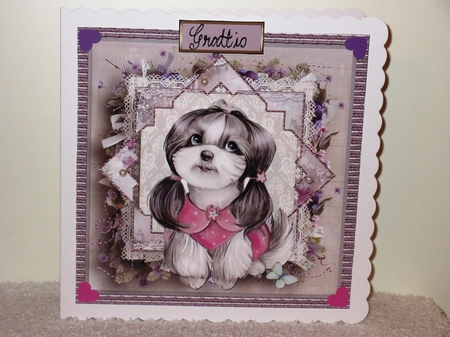 Puppy in a pink coat by Wayne Swan