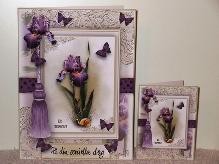 A5 The Iris Card Front Kit by Wayne Swan