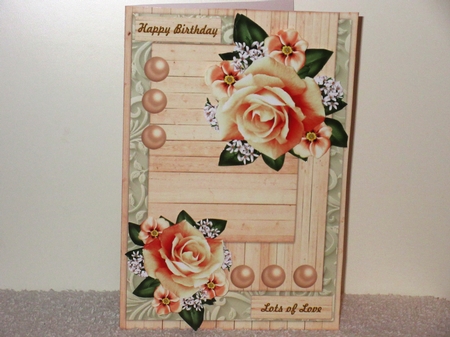 CU Gorgeous Roses by Wayne Swan