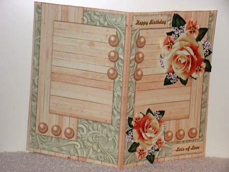 CU Gorgeous Roses by Wayne Swan