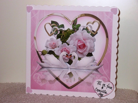 8x8 the wedding swans mini kit by Wayne Swan