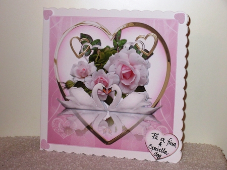 8x8 the wedding swans mini kit by Wayne Swan