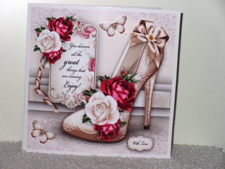 Bumper Kit of Elegant Shoes by Wayne Swan