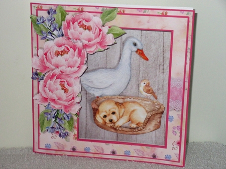 APERTURE FRONT 7x7 CARD KIT - The New Puppy by Wayne Swan