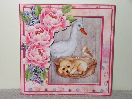 APERTURE FRONT 7x7 CARD KIT - The New Puppy by Wayne Swan