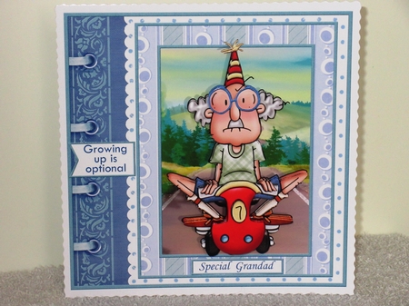 GUS GROWING UP 7.5 Humorous Decoupage & Insert Mini Kit by Wayne Swan